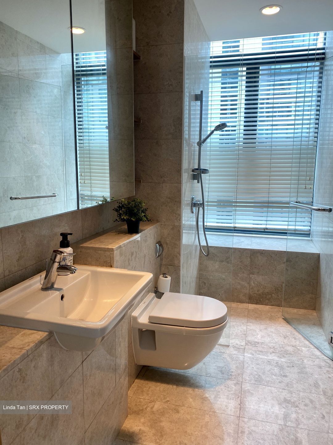 Soleil @ Sinaran (D11), Condominium #566626641